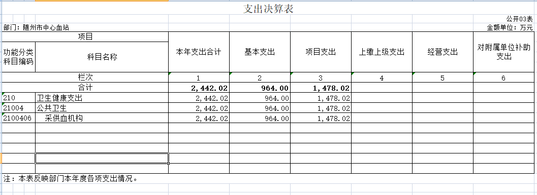 3支出決算表.png