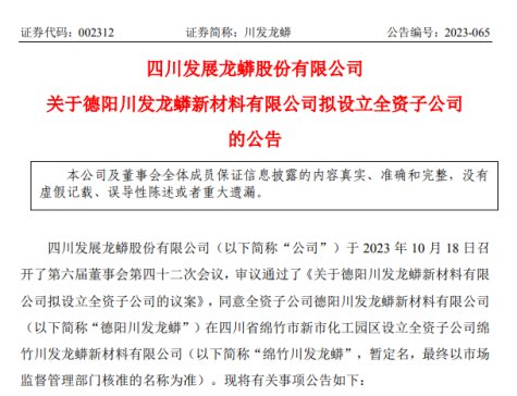 年產10萬噸！川發龍蟒擬設立孫公司投建磷酸鐵鋰項目