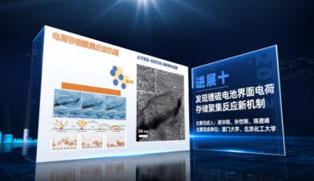 中國科學(xué)十大進展之發(fā)現(xiàn)鋰硫電池界面電荷存儲聚集反應(yīng)新機制