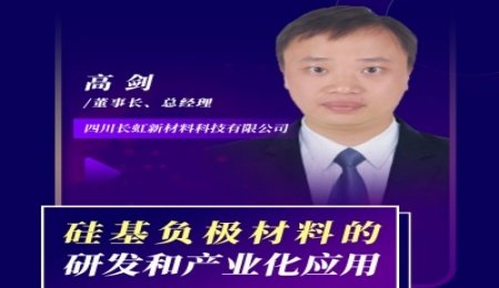 【會議報告】硅基負極材料的研發和產業化應用