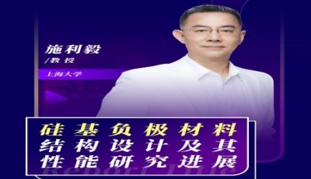 【會(huì)議報(bào)告】硅基負(fù)極材料結(jié)構(gòu)設(shè)計(jì)及其性能研究進(jìn)展