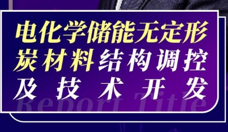 【會(huì)議報(bào)告】電化學(xué)儲(chǔ)能無定形炭材料結(jié)構(gòu)調(diào)控及技術(shù)開發(fā)