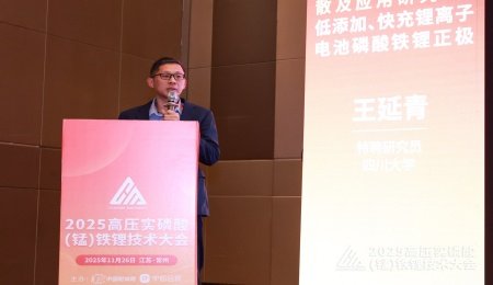 超長碳納米管能夠有效提高磷酸鐵鋰材料導電性——訪四川大學特聘研究員王延青