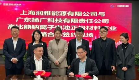 鈉電產(chǎn)業(yè)周報(bào)——鈉電火熱！多個(gè)項(xiàng)目節(jié)后開(kāi)工
