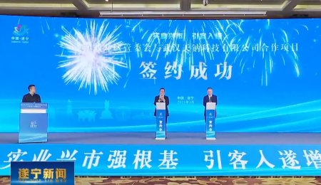 總投資58億元！年產(chǎn)13萬(wàn)噸鈉電負(fù)極材料產(chǎn)業(yè)化基地簽約四川遂寧