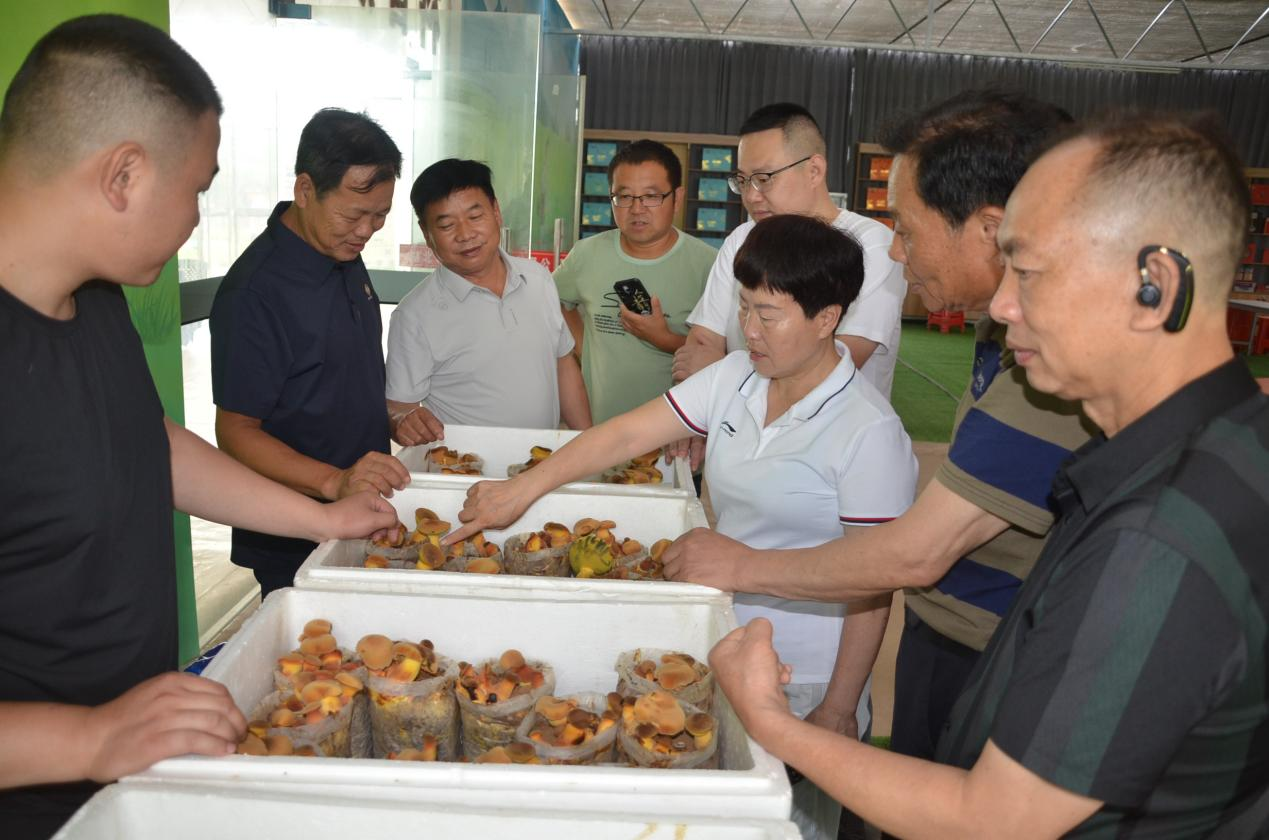 圖片4.png