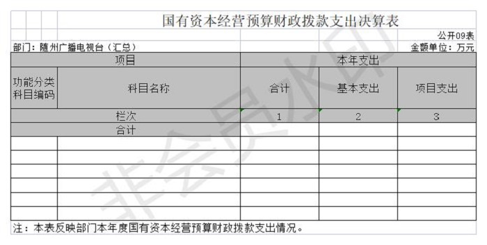 2020年隨州廣播電視臺(匯總)公開表9.jpg