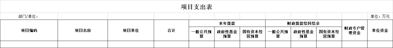 9項(xiàng)目支出表.png
