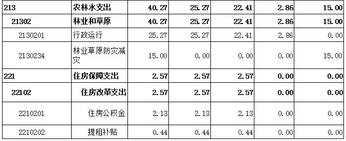 一般公共預算支出表2.png